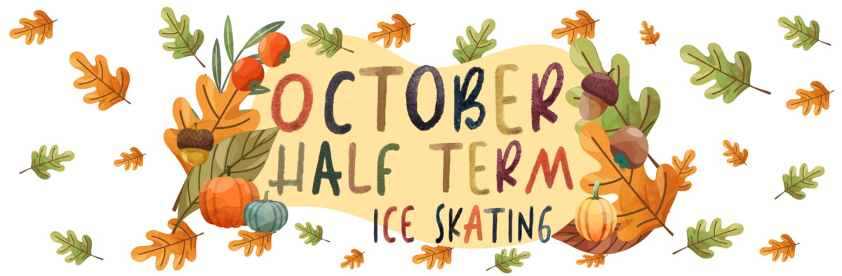 october-half-term-at-the-cornish-seal-sanctuary-best-days-out-cornwall